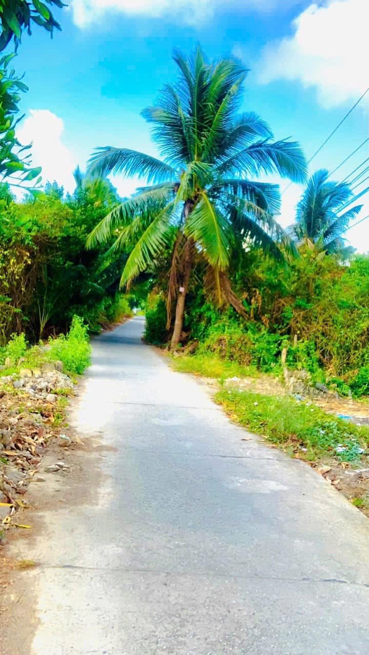 Đất vuông tôm 6000m² tại K4, Phường 8, Cà Mau - Giá 2.5 tỷ!