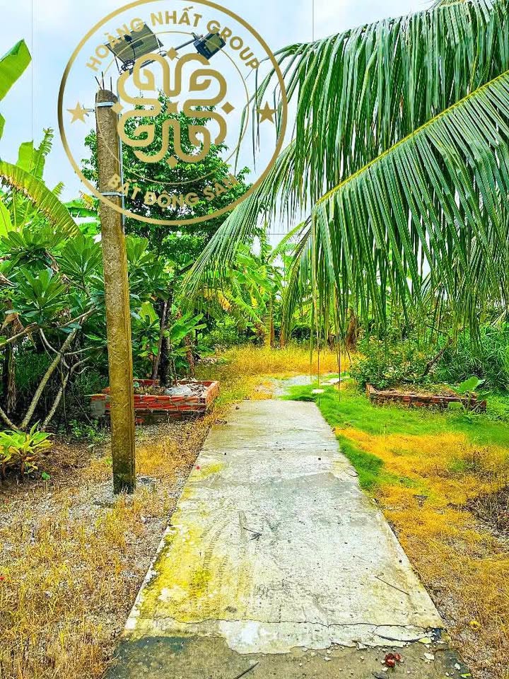 Farm sinh thái Cà Mau 4633m² giá 6 tỷ - Đầu tư sinh lời ổn định!