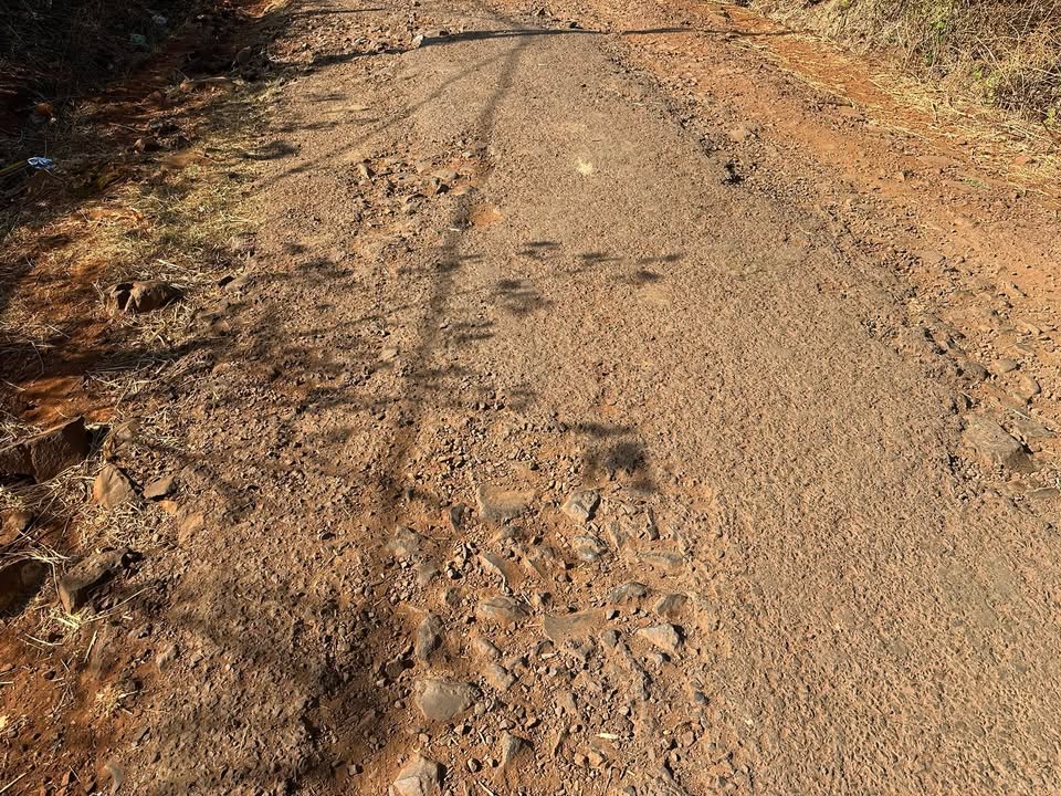 Đất nền 1ha tại xã Ia Le, huyện Chư Pưh giá 2.15 tỷ - Cơ hội đầu tư hấp dẫn!