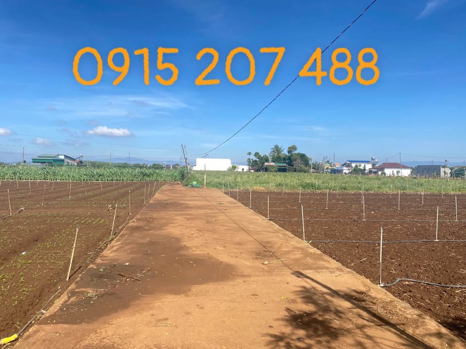 Đất nền Phường Nghĩa Thành 170m² giá 1.15 tỷ - Đầu tư sinh lời ngay!