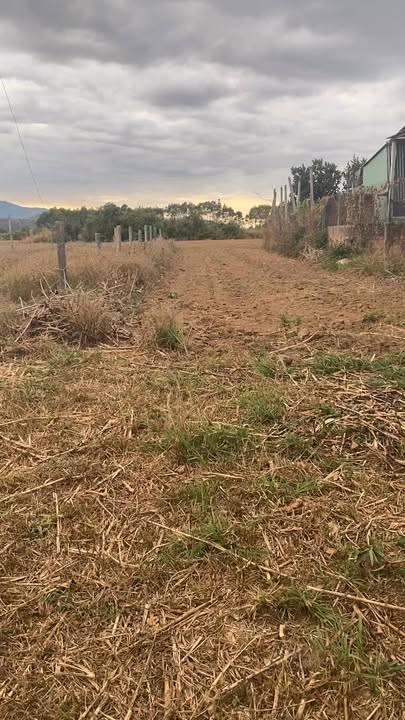 Đất nền Đường quy hoạch số 10, Huyện Đăk Đoa, 281m² giá 200 triệu - Cơ hội đầu tư hấp dẫn!