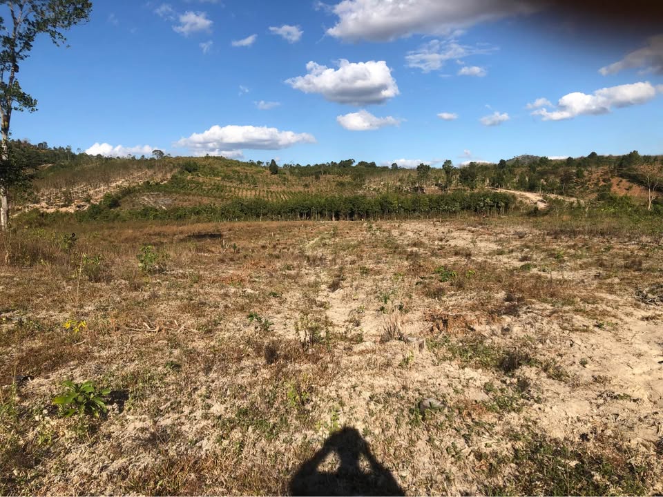 Đất nền 1,5ha tại Đăk Tơ Ver, Chư Păh, Gia Lai - Giá chỉ 600 triệu