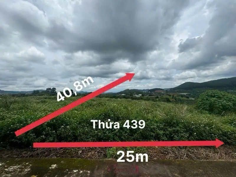 Đất nền 1 sào Mê Linh, Lâm Hà 360m² giá 1.65 tỷ - Cơ hội đầu tư tuyệt vời!