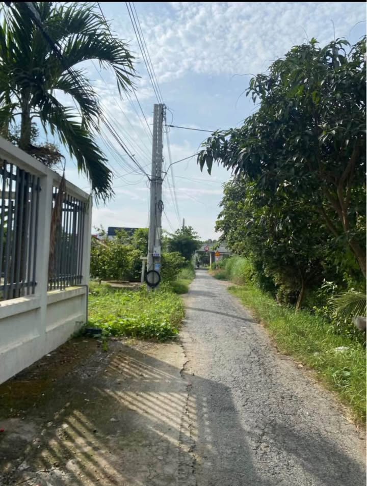 Đất nền Bình Đức, Long Xuyên 114,7m² giá 800 triệu - Bán gấp chính chủ!