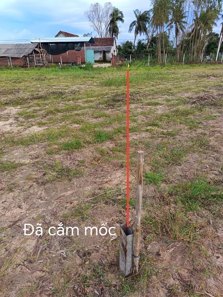 Đất nền Xã Cát Lâm 200m² giá 300 triệu - Sổ đỏ chính chủ!