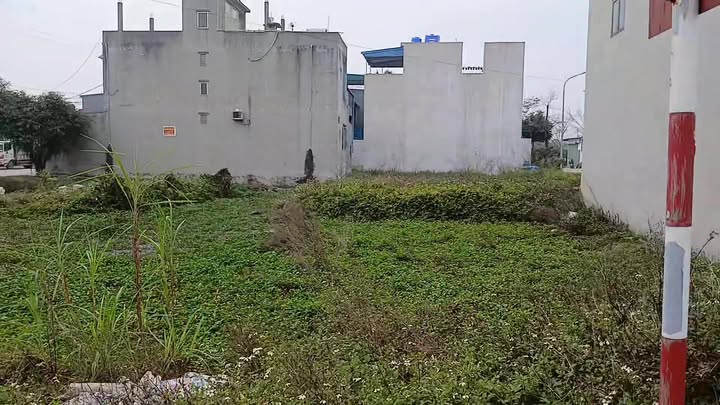 Đất nền xã Nga Yên, huyện Nga Sơn 169m² chỉ 3.068 tỷ - Cơ hội đầu tư hấp dẫn!