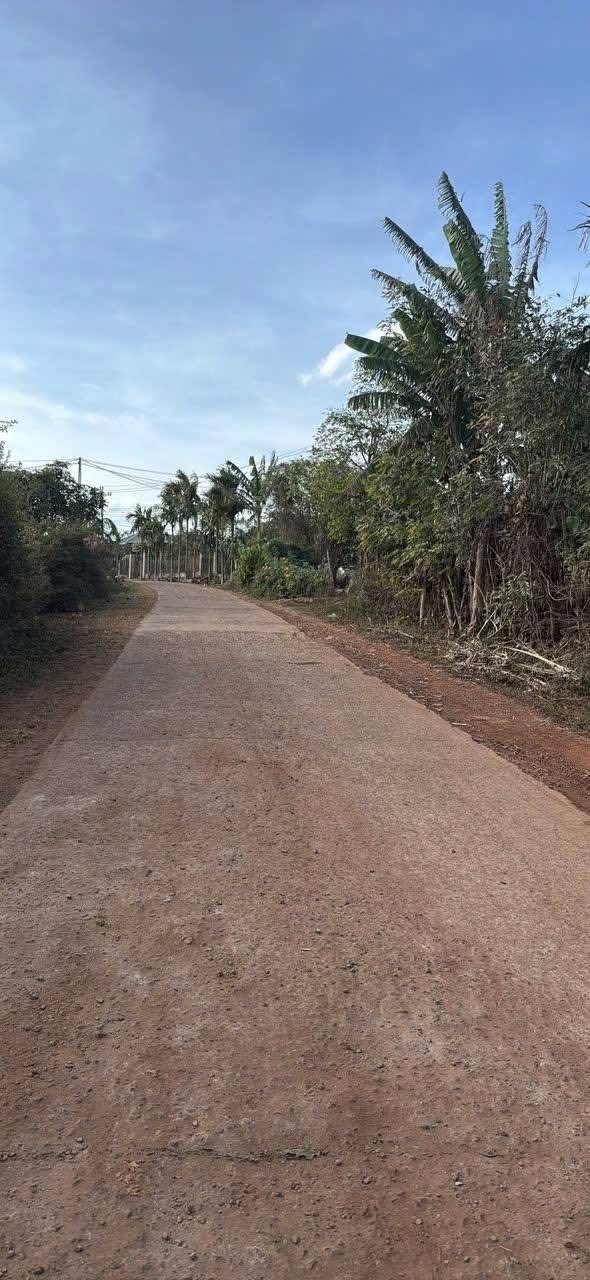 Farm đất thổ cư 2448m² xã Ea Đar giá chỉ 5 tỷ - Đầu tư sinh lời ngay!