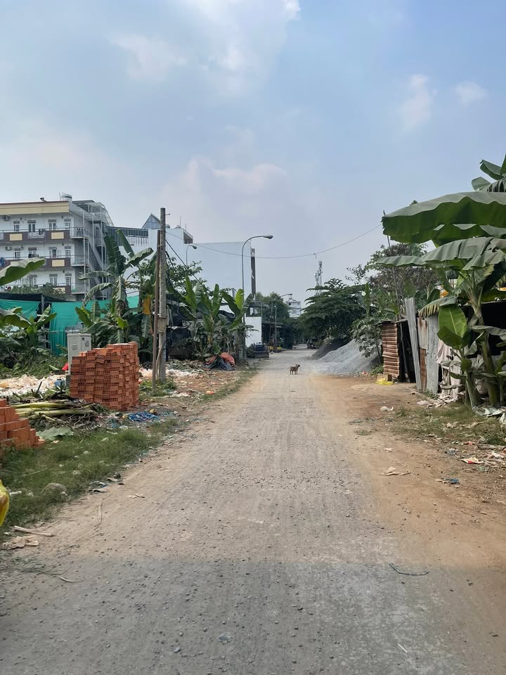 Đất nền Khu Dân Cư Bến Lức, Quận 8 - 110m² chỉ 4.95 tỷ - Giá cực tốt!