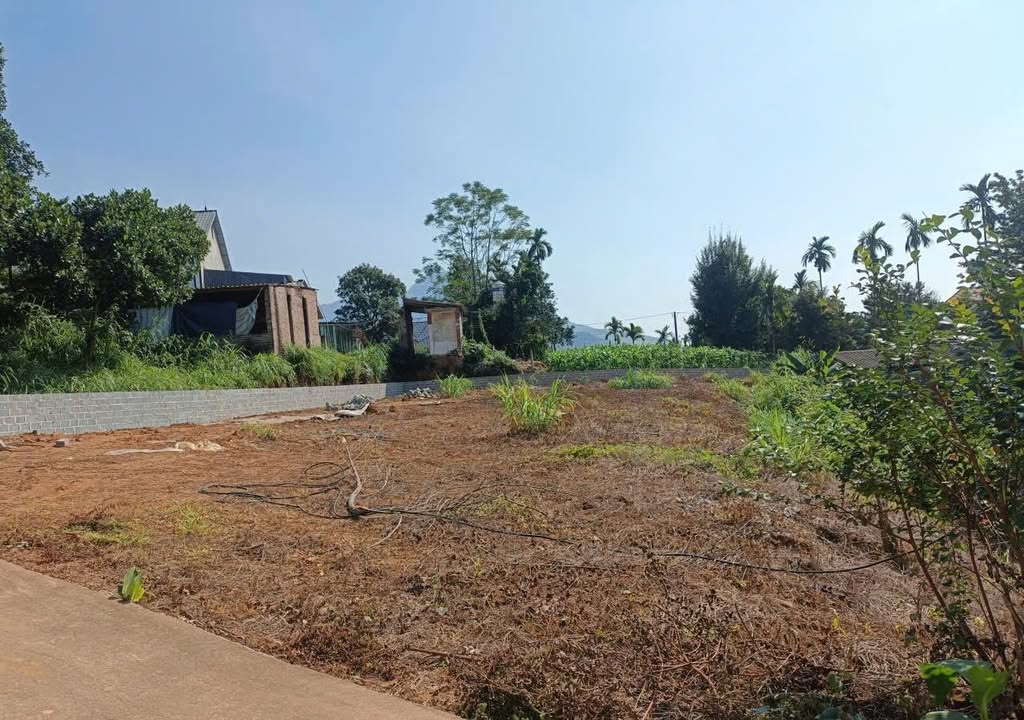 Đất Minh Quang, Bình Xuyên 679m² giá thỏa thuận - Không gian nghỉ dưỡng tuyệt vời!