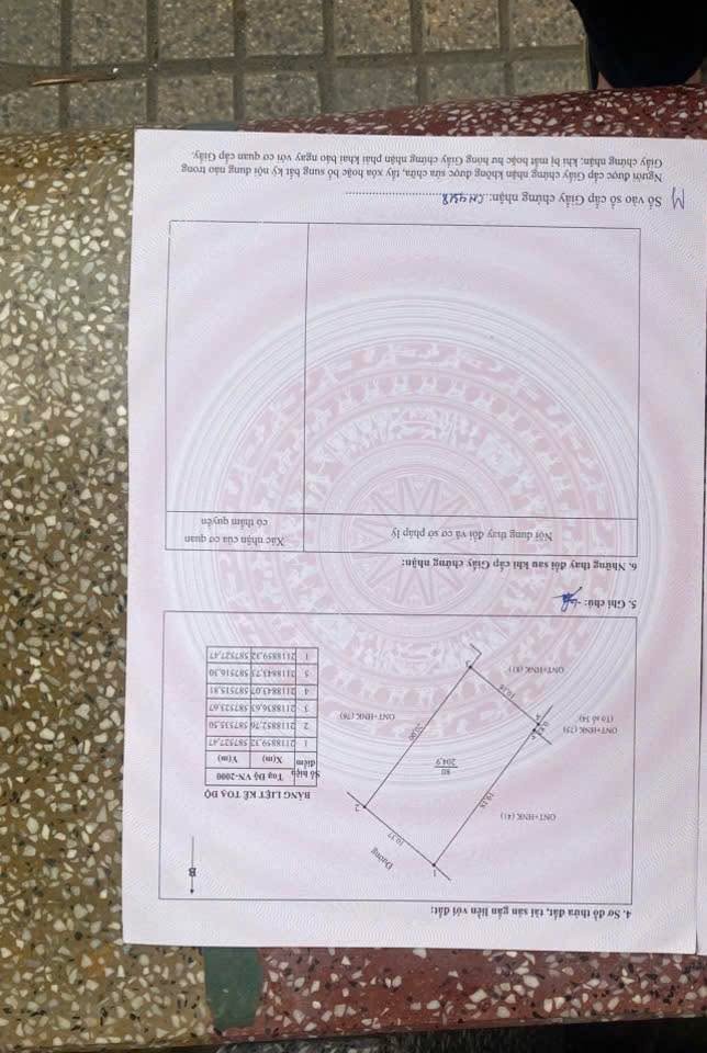 Đất nền Xã Quỳnh Lâm, Huyện Quỳnh Lưu, 200m² giá 1.15 tỷ - Đường bê tông rộng rãi!