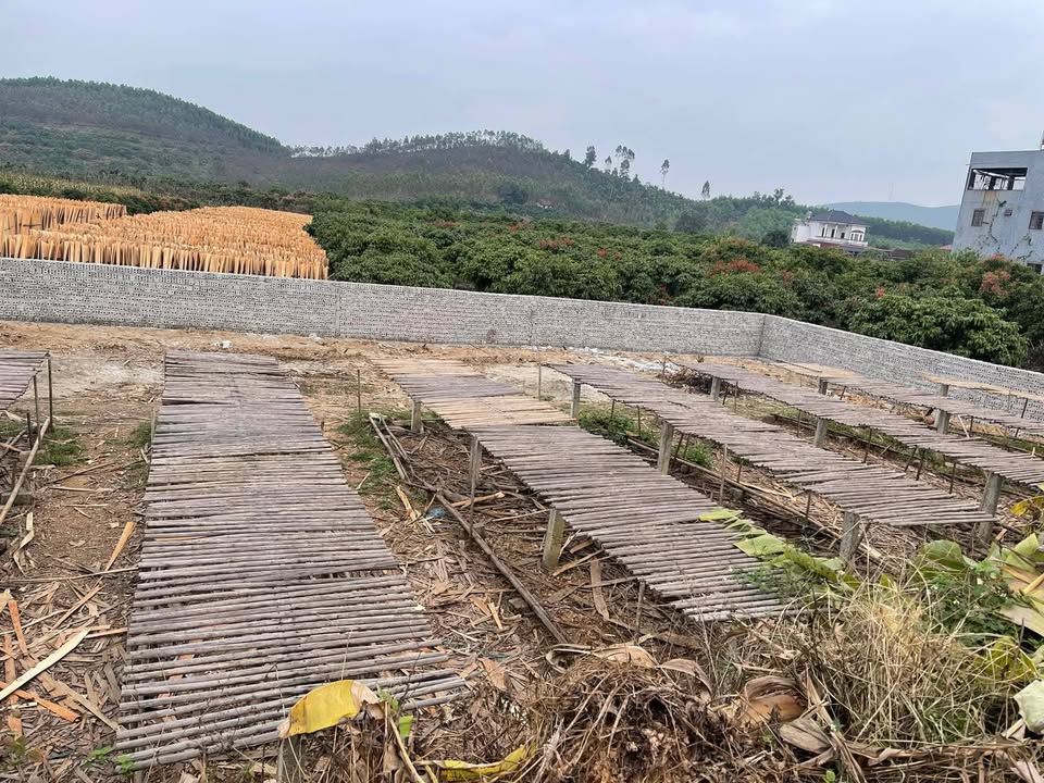 Đất nền Vô Tranh, Lục Nam 158.6m² giá 1.4 tỷ - Cơ hội đầu tư tuyệt vời!