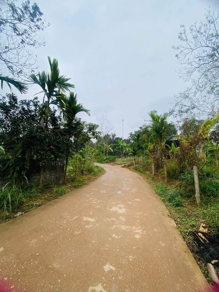 Đất nền thôn 12 Trung Môn, Yên Sơn 375m² giá 2.8 tỷ - Đầu tư sinh lời ngay!