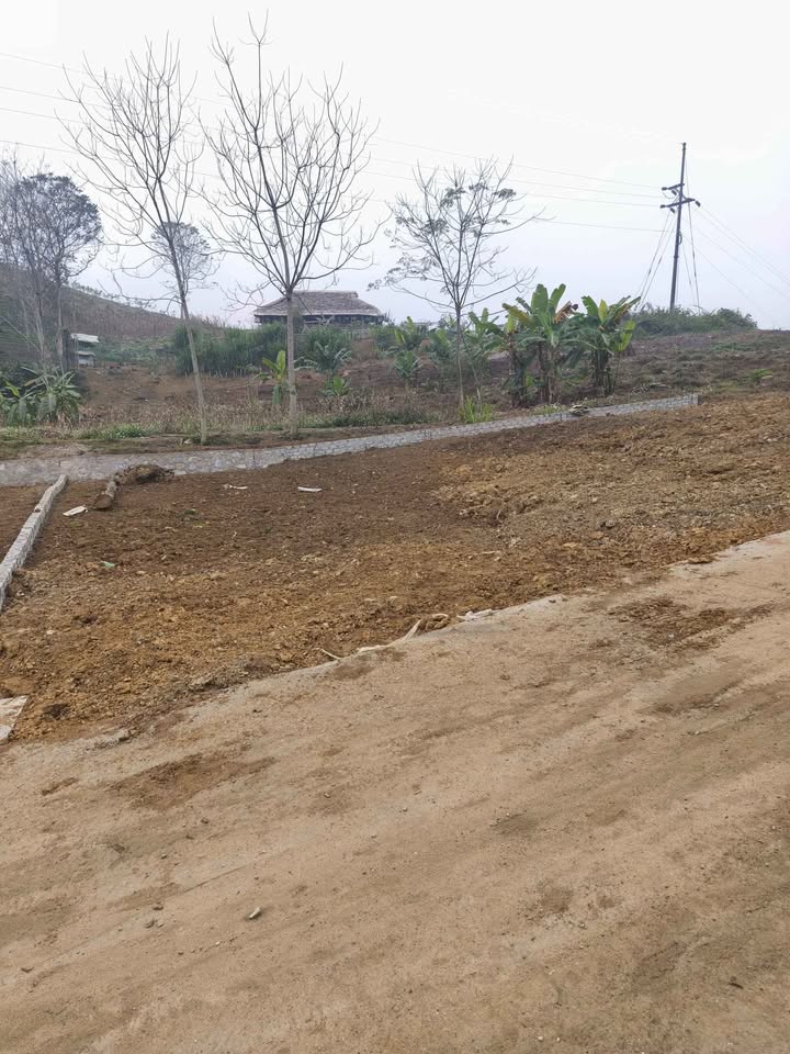 Đất thổ cư 126m² tại Tổ dân phố 12, Phường Đội Cấn, giá chỉ 800 triệu - Cơ hội đầu tư tuyệt vời!