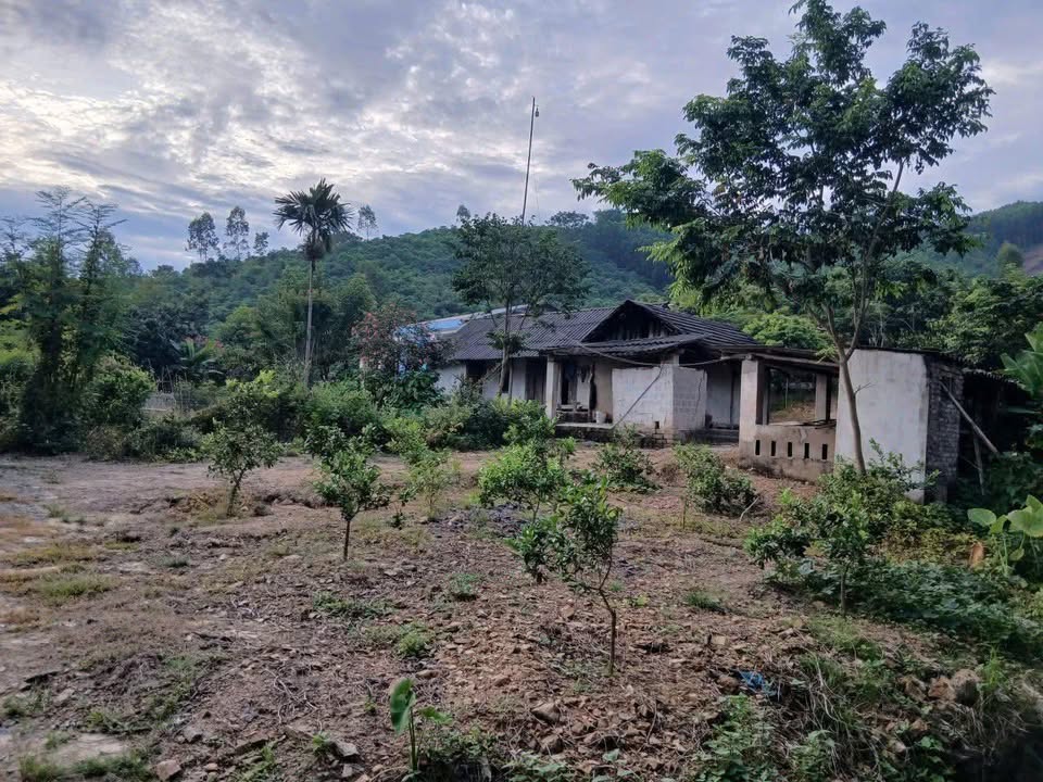 Đất nông trại Tiến Bộ, Yên Sơn, Tuyên Quang 2ha giá 2 tỷ - Sơn thủy hữu tình