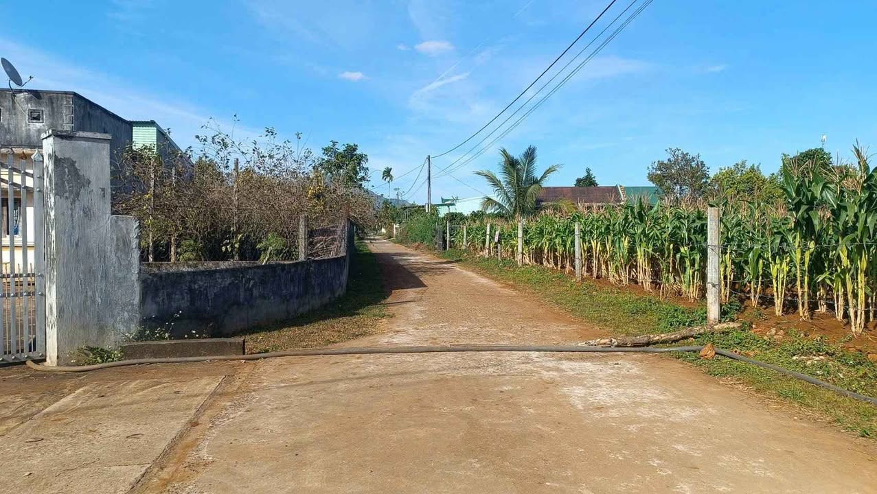 Đất thổ cư xã Biển Hồ 150m² giá 499 triệu - Sổ đỏ chính chủ ngay!