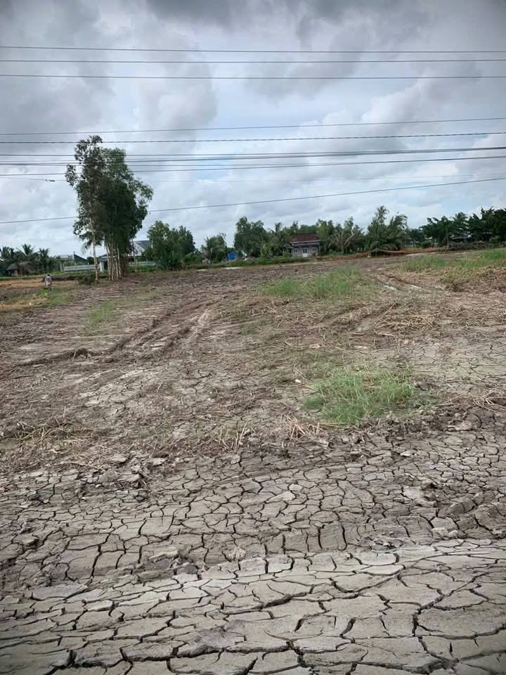 Đất nền xã Khánh Lâm, U Minh 3220m² giá 32.2 tỷ - Vị trí đắc địa cho kinh doanh!