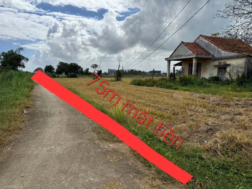 Đất nền 1000m² tại Xã Đức Minh - Giá thỏa thuận - Tách 6 lô hấp dẫn gần biển!