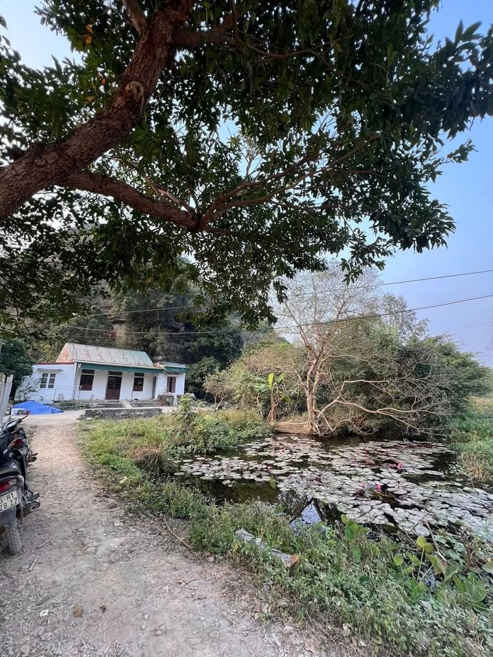 Lô đất Homestay 1260m² tại Trường Yên, Ninh Bình - Cơ hội đầu tư tuyệt vời!