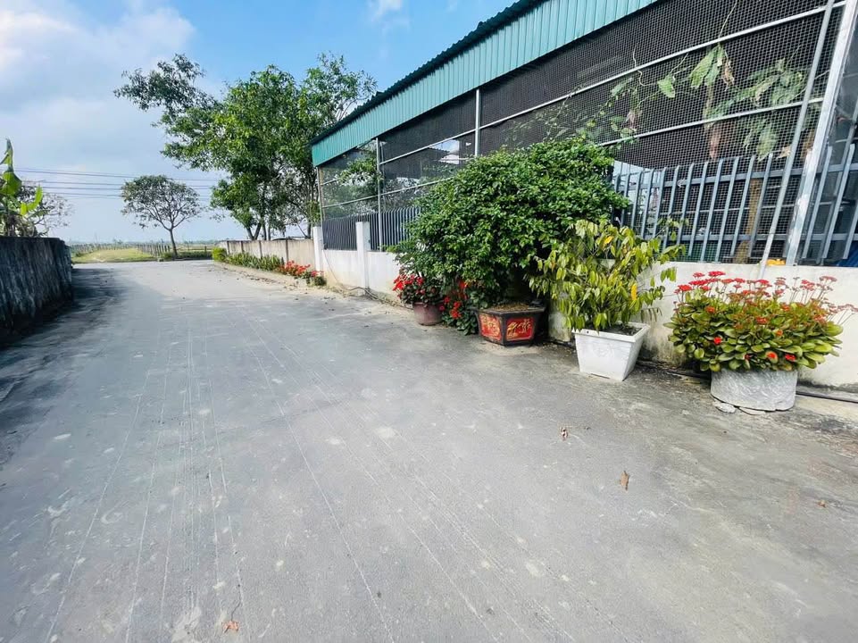 Đất nền Tượng Sơn 144m² giá 1.5 tỷ - Hướng Đông Bắc, đường rộng 6m!