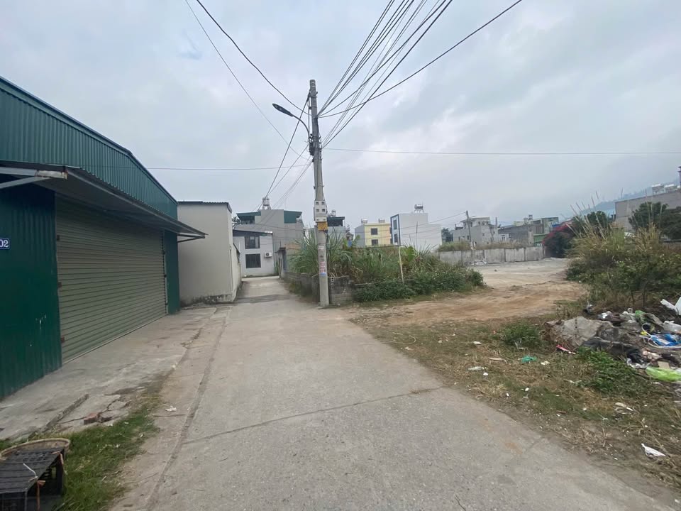 Đất nền Phường Cẩm Đông, Cẩm Phả 114m² giá 1.69 tỷ - Bán gấp trước Tết!