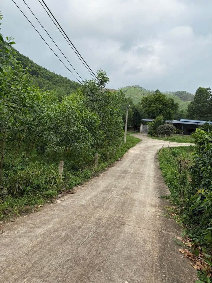 Kho xưởng 5000m² Trục Chính Khe Mo, giá 1 tỷ - Đầu tư sinh lời ngay!