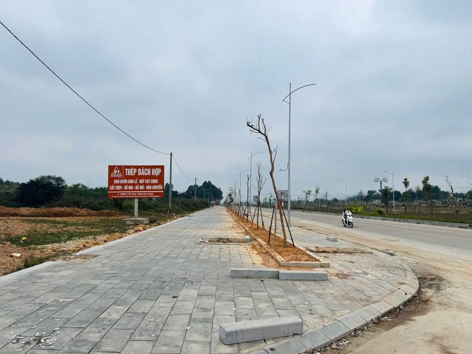 Đất nền MiA Forest Bắc Sơn 128m² giá 4 tỷ - Hướng chính Nam, pháp lý đầy đủ!