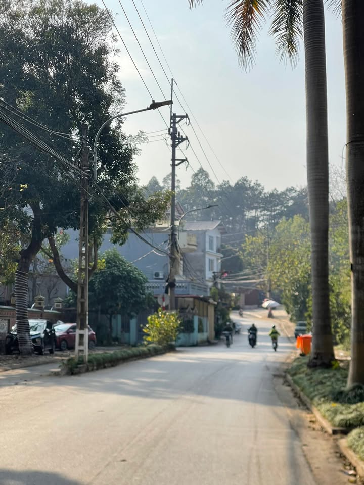 Nhà cấp 4 mặt đường Tổ Sơn - Diện tích 170m² giá 2 tỷ - Địa điểm vàng gần cổng thành!