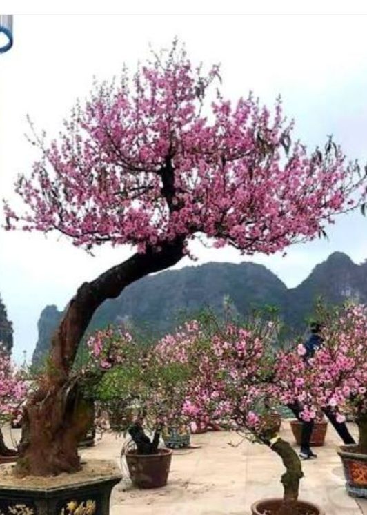 Đất nền Phường Cam Giá 122m² giá 1 tỷ - Đường thoáng, dân cư đông đúc!