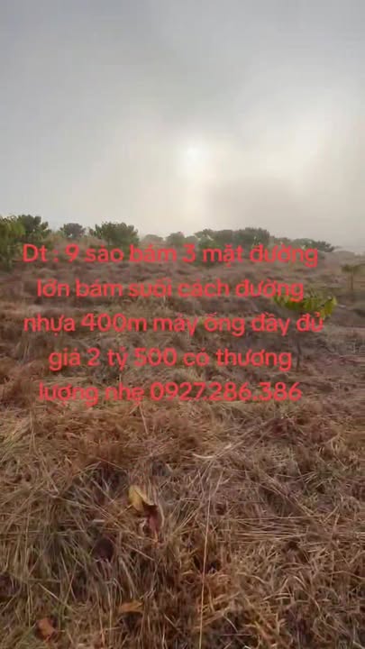 Đất 9 sào tại thôn 10, Tân Thanh, Lâm Hà - Giá tốt chỉ 2.5 tỷ!