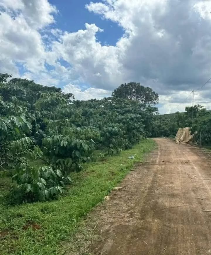 Đất nền 4000m² Lộc Đức chỉ 720 triệu - Cơ hội đầu tư tuyệt vời!