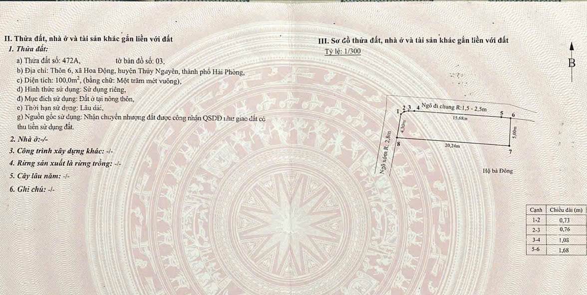 Đất nền lô góc tại Hoa Động, Thủy Nguyên, Hải Phòng - Giá 3 tỷ, ô tô đỗ cửa!