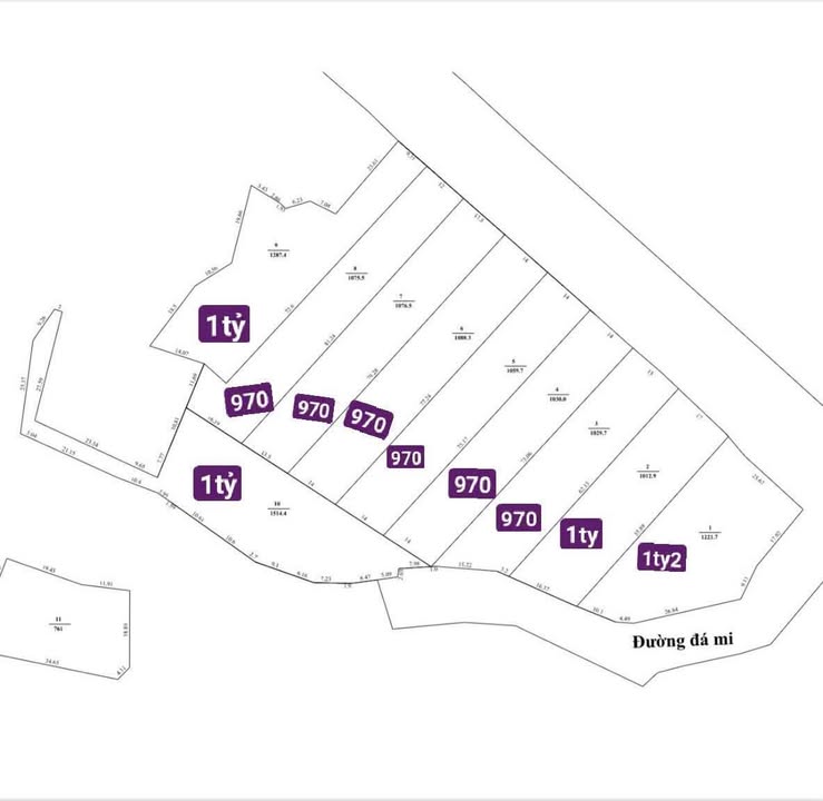 Đất nền đầu tư tại Thị trấn Đất Đỏ, Bà Rịa - Vũng Tàu 11030m² - Giá đầu tư hấp dẫn!