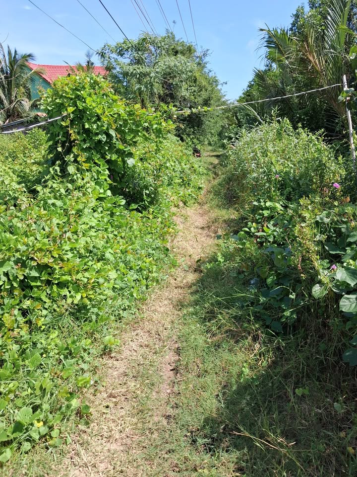 Đất nền 8000m² tại Ấp 11, Xã Long Hữu, Giá chỉ 600 triệu - Cơ hội đầu tư hấp dẫn!