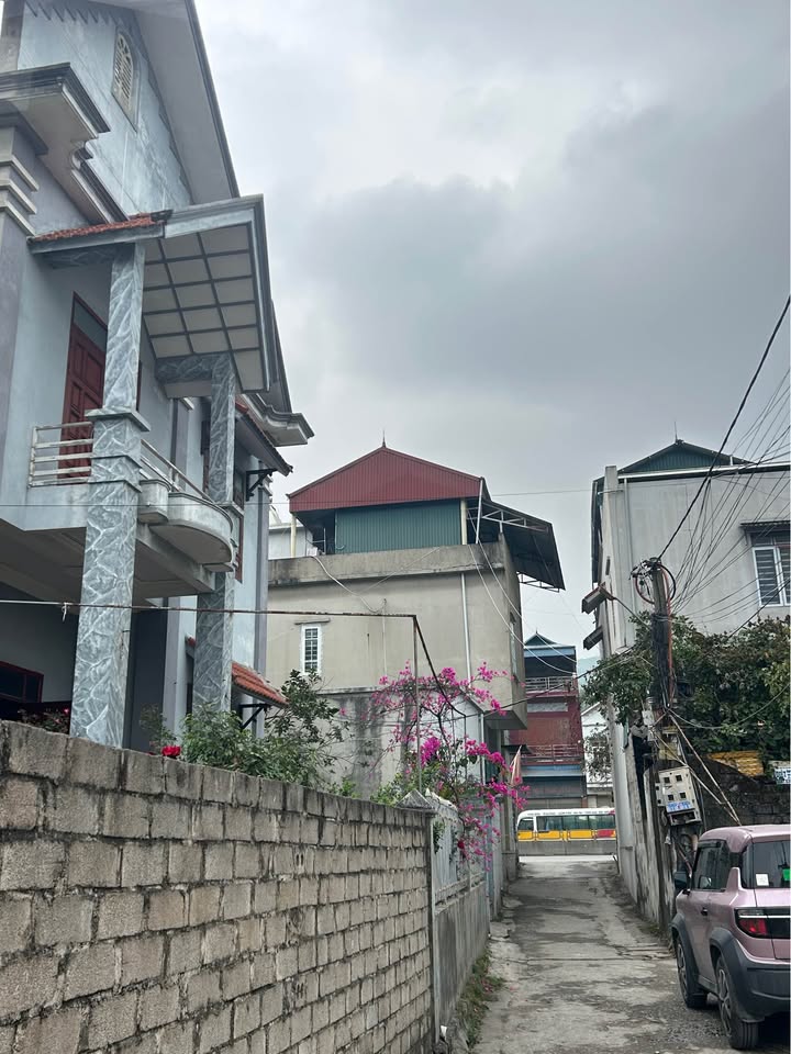 Đất nền Quang Hanh Cẩm Phả 130m² giá 1 tỷ - Vị trí đắc địa, ô tô vào tận nơi!