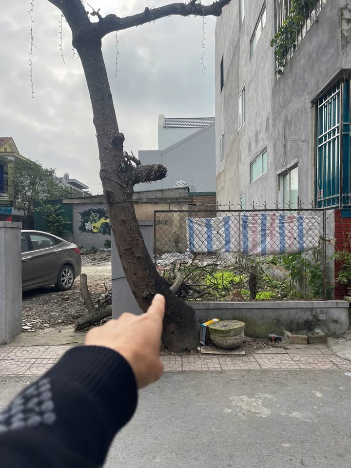 Đất nền mặt đường Phan Huy Chú, TP Vinh 68m² giá 4.4 tỷ - Cơ hội đầu tư sinh lời cao!