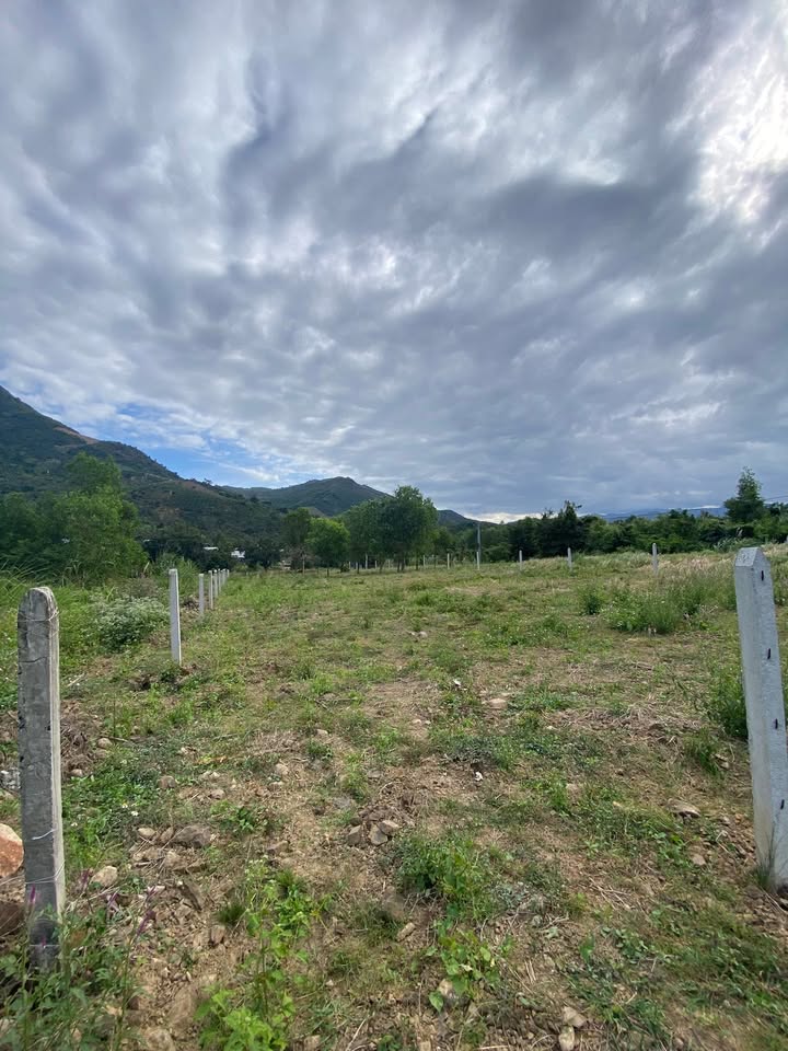 Đất thổ cư mặt tiền Tỉnh Lộ 3, Suối Cát, 1257,8m² giá 10,5 tỷ - Cơ hội đầu tư sinh lời cao!