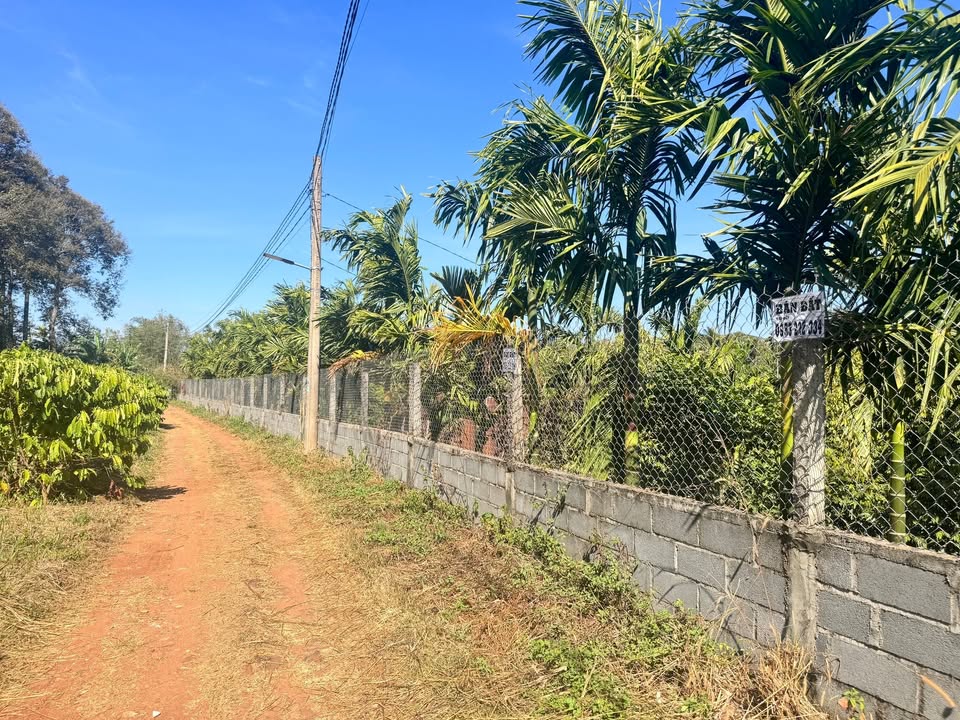 Đất liền kề phường Tân Lập 880m² giá 2.5 tỷ - Giao thông thuận tiện, view Suối