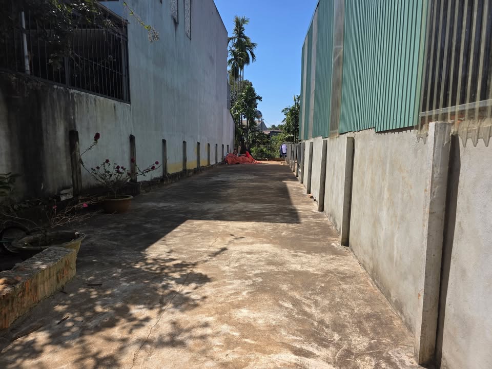 Đất thổ cư Hòa Thắng 250m² giá 1.6 tỷ - Đầu tư sinh lời ngay!