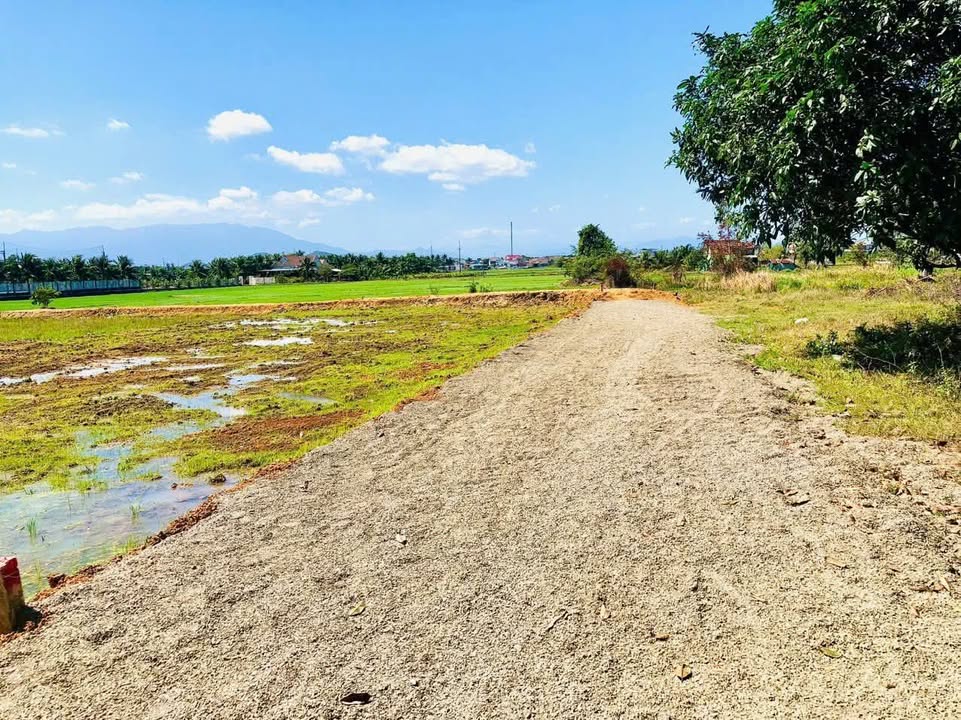 Đất thổ cư tại Ninh Thọ - 2100m² - Pháp lý rõ ràng, giá thỏa thuận!