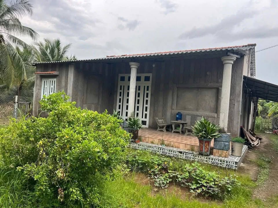 Đất nền Bến Tre 1032m² giá 1 tỷ - Gần ủy ban và trường học