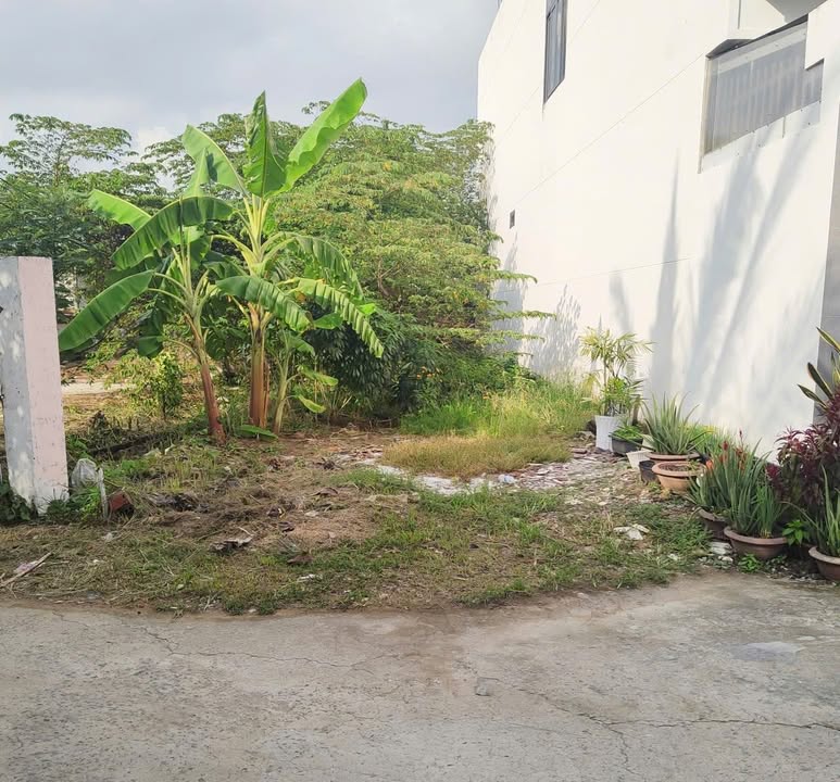 Đất nền Mỹ Thạnh An, Bến Tre 110,7m² giá 1,55 tỷ - Đầu tư sinh lời