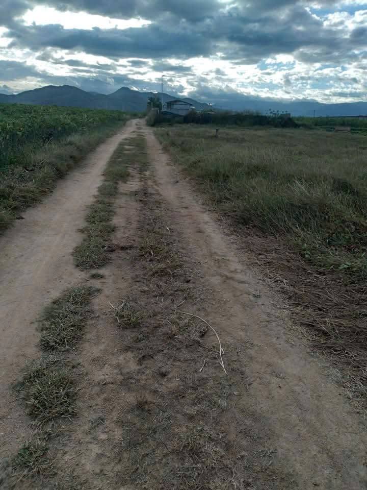 Đất trang trại 17.000m² tại thôn Triệu Phong - Giá chỉ 1.5 tỷ