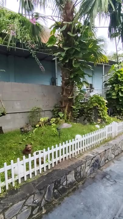 Nhà vườn Bình Nhâm 561m² giá 8.5 tỷ - Cơ hội hiếm có cho gia đình!