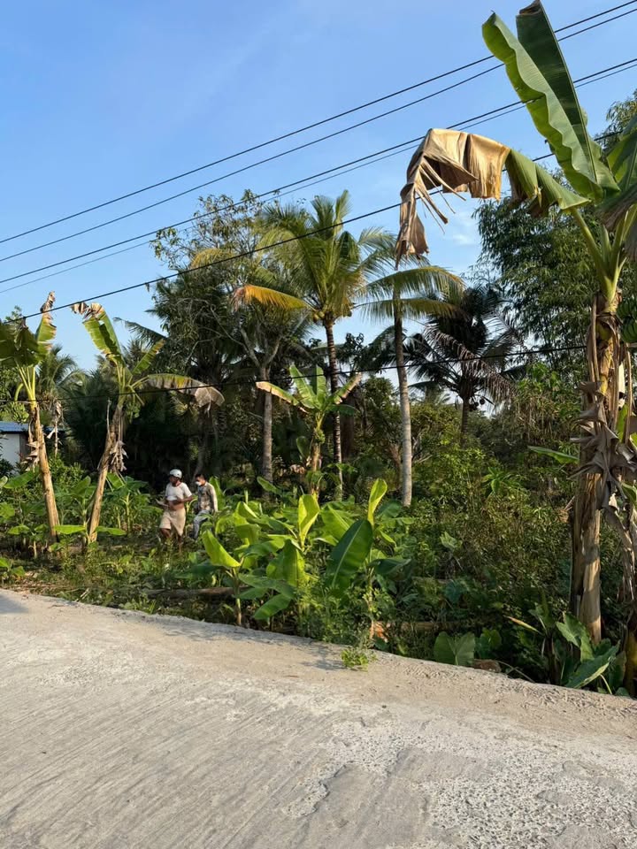 Đất nền thổ cư Quận Ô Môn 73m² giá 399 triệu - Đường ô tô vào tận nơi!