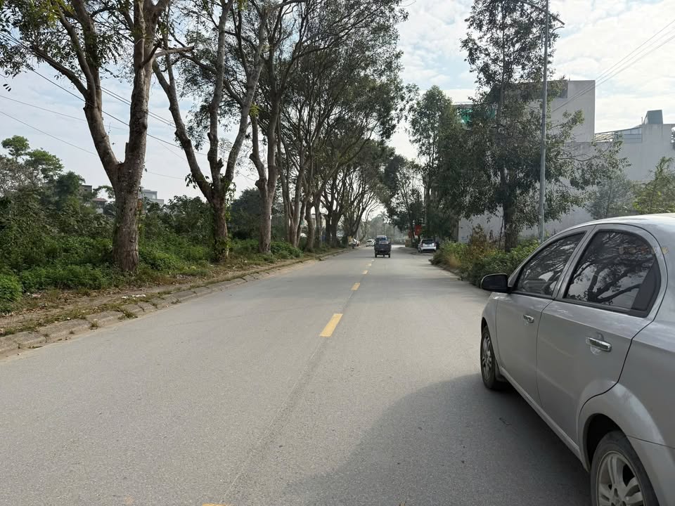 Lô đất đẹp tại chung cư Đông Vệ, 88m² giá 6 tỷ - Cơ hội đầu tư tuyệt vời!