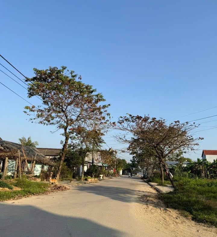 Đất nền tại KĐT EcoGarden, Phường Vỹ Dạ, 100m² - Đầu tư sinh lời ngay!