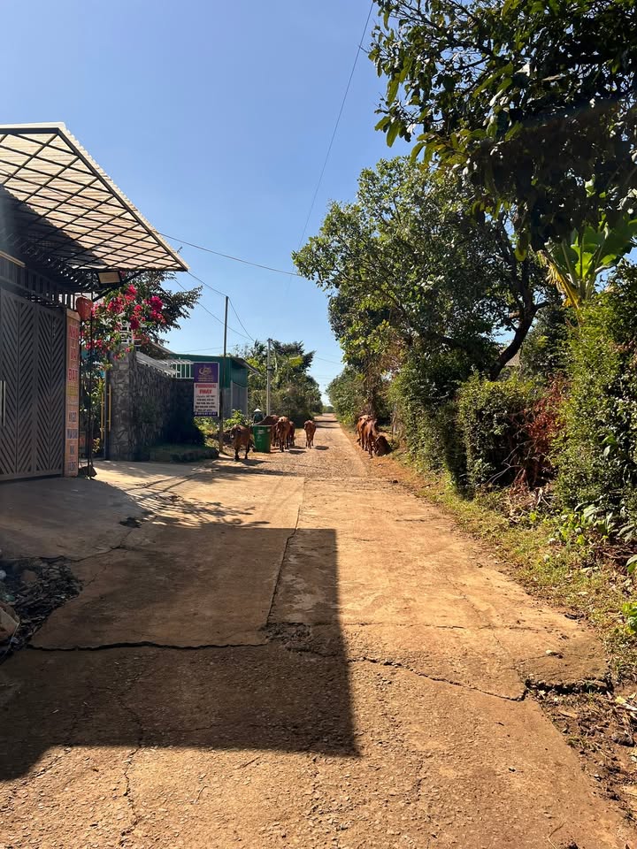 Đất liền kề thôn 4, đường B5, 210m² giá 1.68 tỷ - Cơ hội đầu tư hấp dẫn!