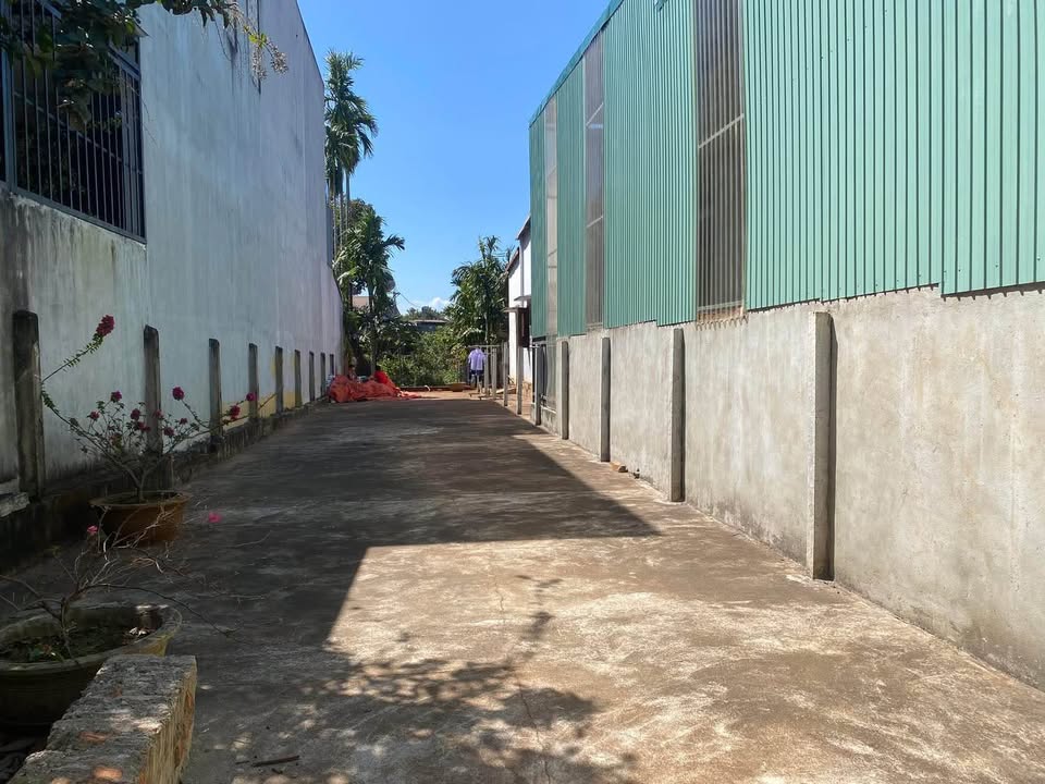 Đất thổ cư Phường Tân Lập Đăk Lăk 250m² giá 1.6 tỷ - Đầu tư sinh lời cao!