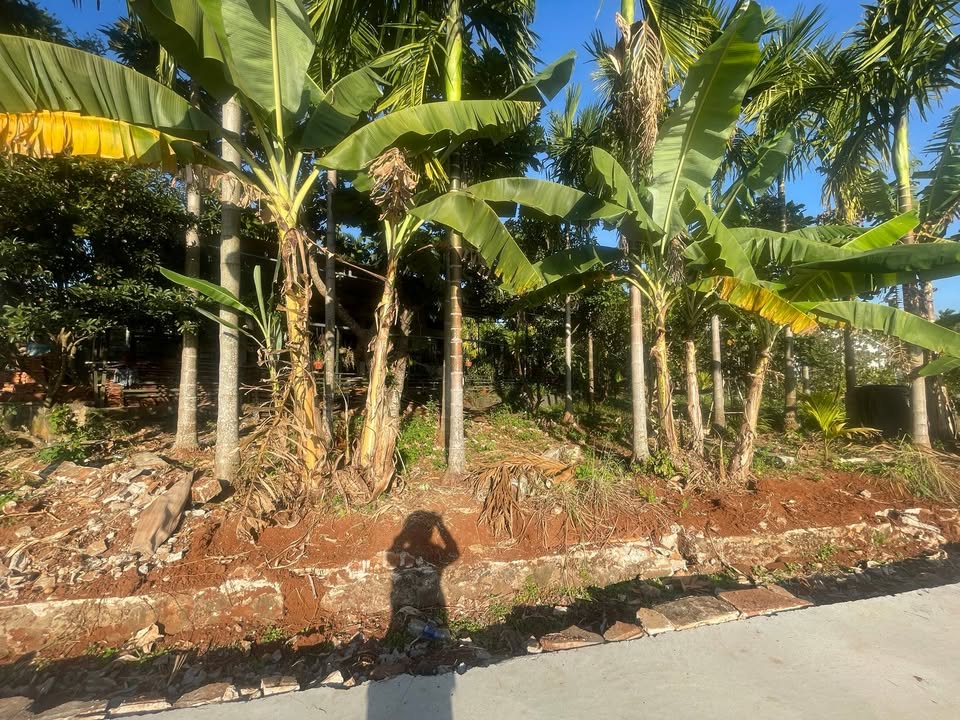 Đất nền Phường Tân Lập, Buôn Ma Thuột 110m² giá 1.65 tỷ - Sổ đỏ chính chủ!