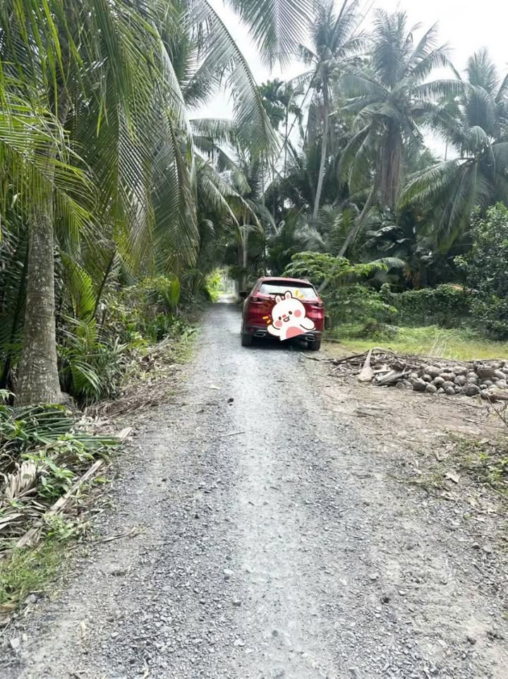 Đất vườn 600m² tại Trung Hiệp, Vũng Liêm - Giá chỉ 490 triệu, đầu tư sinh lời!